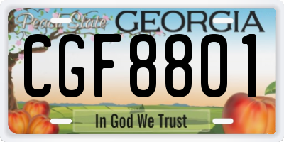 GA license plate CGF8801