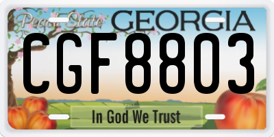 GA license plate CGF8803