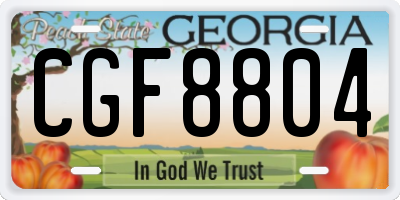 GA license plate CGF8804