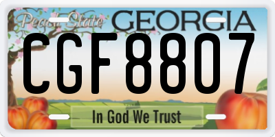 GA license plate CGF8807