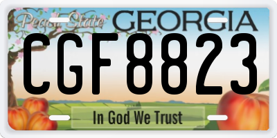 GA license plate CGF8823