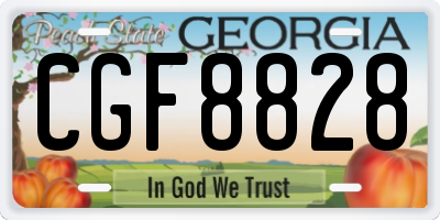GA license plate CGF8828