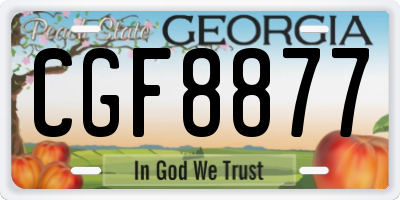 GA license plate CGF8877