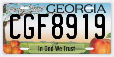 GA license plate CGF8919