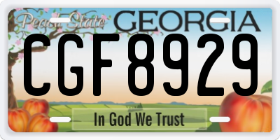 GA license plate CGF8929