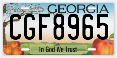 GA license plate CGF8965