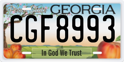 GA license plate CGF8993