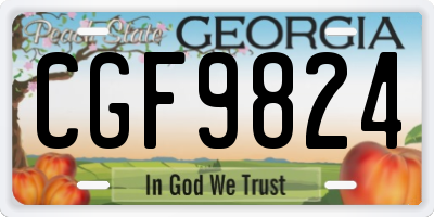 GA license plate CGF9824