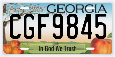 GA license plate CGF9845