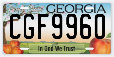 GA license plate CGF9960