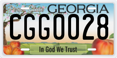 GA license plate CGG0028