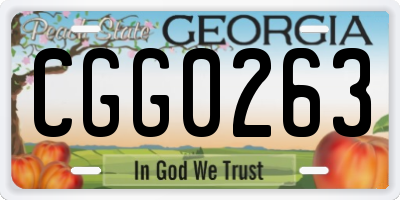GA license plate CGG0263