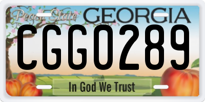 GA license plate CGG0289