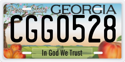GA license plate CGG0528