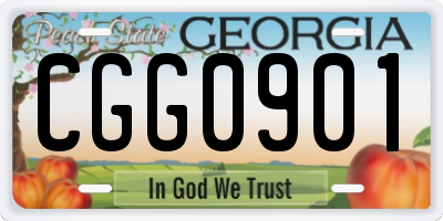 GA license plate CGG0901