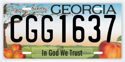 GA license plate CGG1637