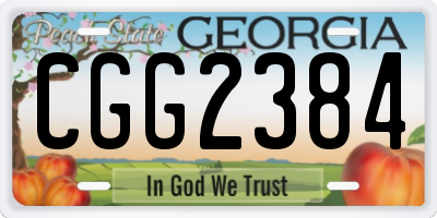 GA license plate CGG2384