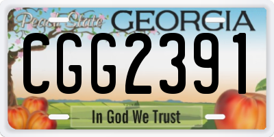 GA license plate CGG2391