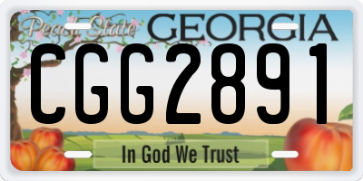 GA license plate CGG2891
