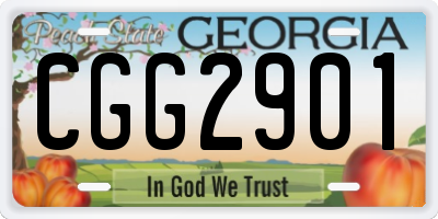 GA license plate CGG2901