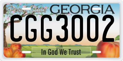 GA license plate CGG3002