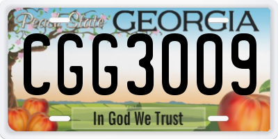 GA license plate CGG3009