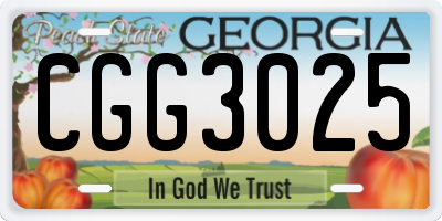 GA license plate CGG3025