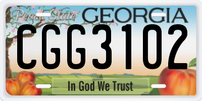 GA license plate CGG3102