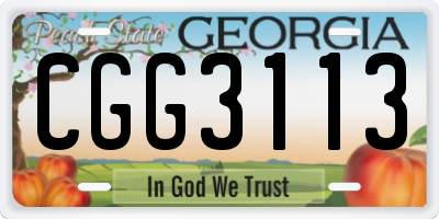 GA license plate CGG3113