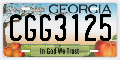 GA license plate CGG3125
