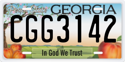 GA license plate CGG3142