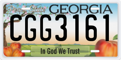 GA license plate CGG3161