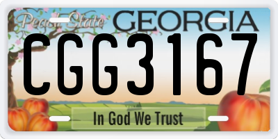 GA license plate CGG3167