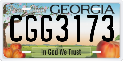 GA license plate CGG3173