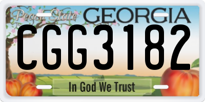 GA license plate CGG3182