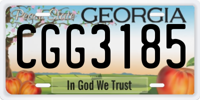 GA license plate CGG3185