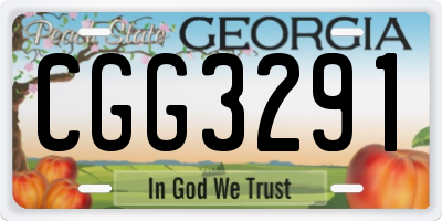 GA license plate CGG3291