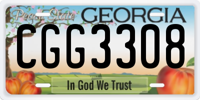 GA license plate CGG3308