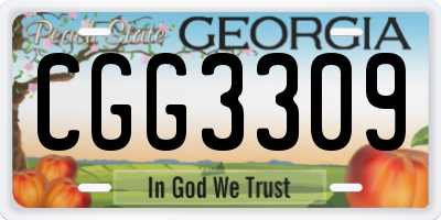 GA license plate CGG3309