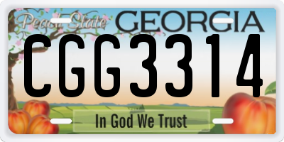 GA license plate CGG3314