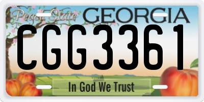 GA license plate CGG3361