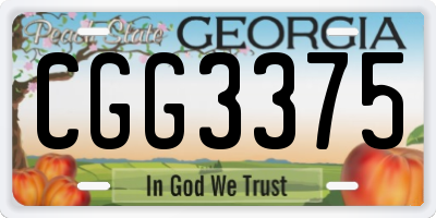 GA license plate CGG3375