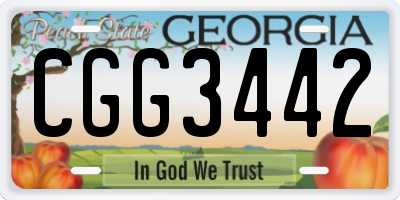 GA license plate CGG3442