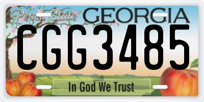 GA license plate CGG3485