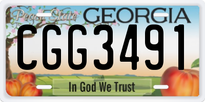 GA license plate CGG3491