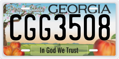 GA license plate CGG3508