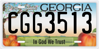 GA license plate CGG3513