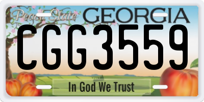 GA license plate CGG3559