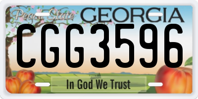 GA license plate CGG3596