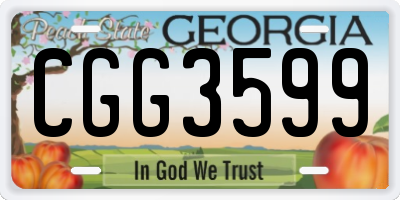 GA license plate CGG3599